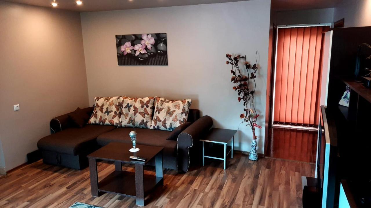 Apartament Laurentiu - Etaj.1 ブカレスト エクステリア 写真