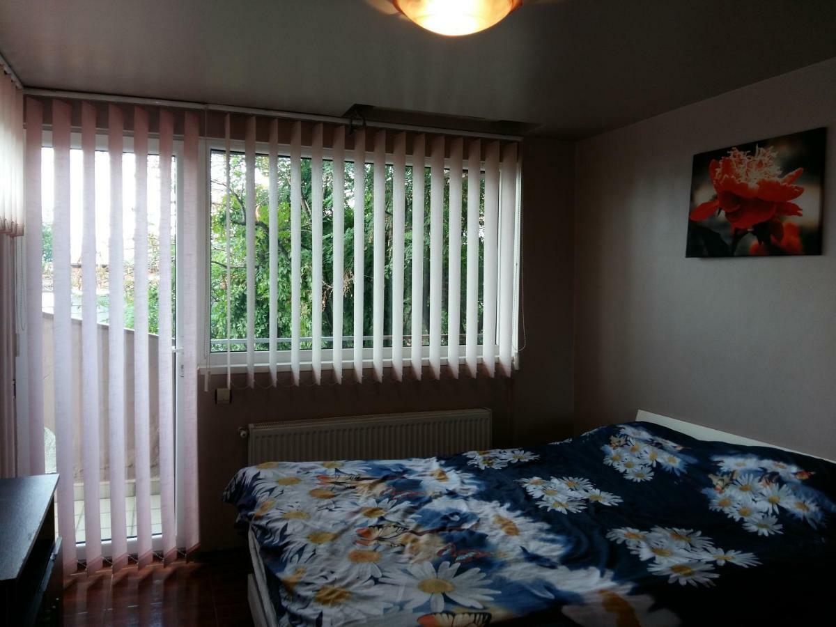 Apartament Laurentiu - Etaj.1 ブカレスト エクステリア 写真