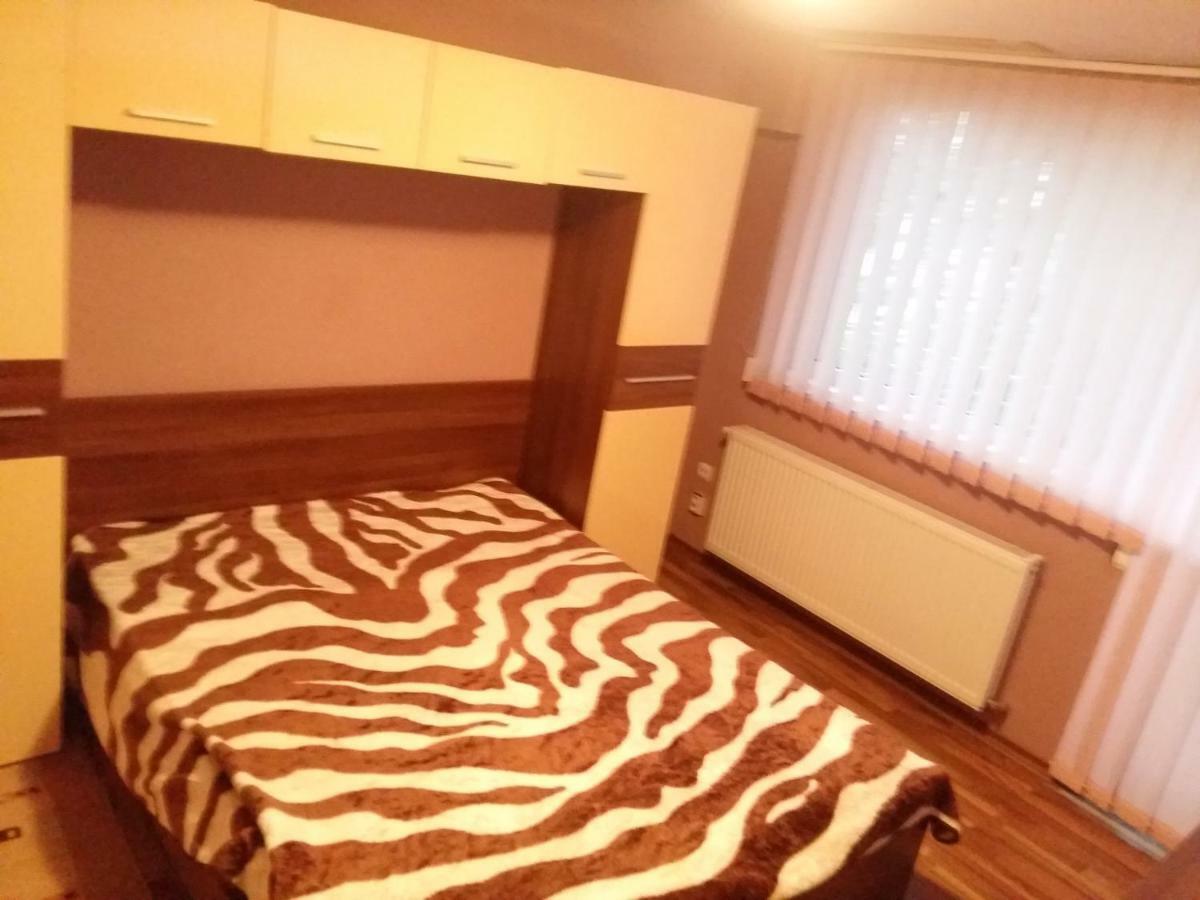 Apartament Laurentiu - Etaj.1 ブカレスト エクステリア 写真